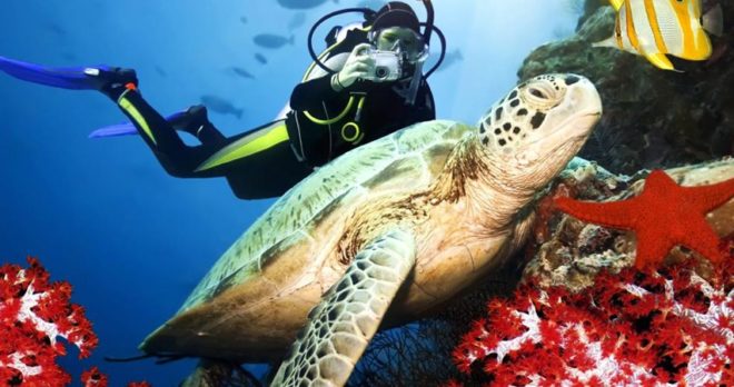 Antalya Wycieczka Nurkowa – Zapraszamy Początkujących i Doświadczonych Nurków